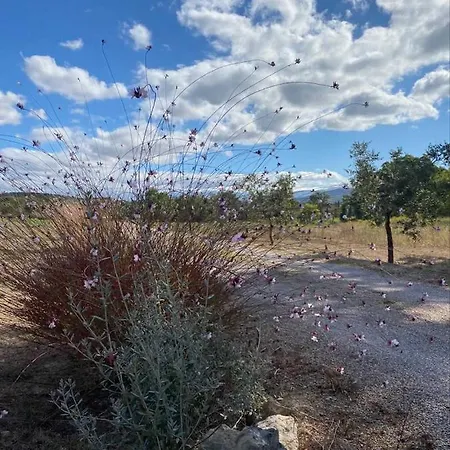Podere Gretano Casetta In Maremma Prázdninový dům *
