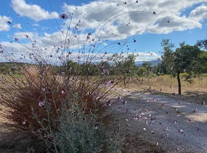 Podere Gretano Casetta In Maremma Nyaraló *